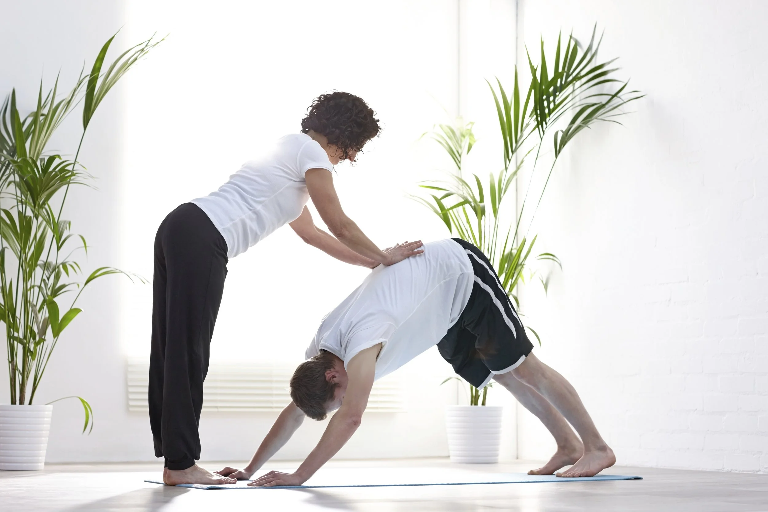Yoga Therapy